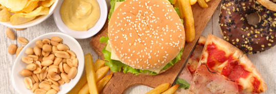 Processed food illustration burger and fries pizza junk food