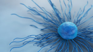 cervical cancer cell