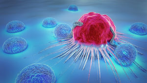 cancer cell and lymphocytes