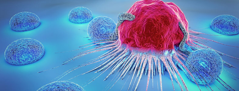 cancer cell and lymphocytes