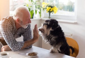 man with dog