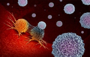 cancer immunotherapy