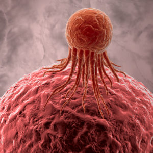 cancer cell and healthy cell