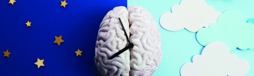 Illustration of brain with clock hands showing day and night circadian rhythm