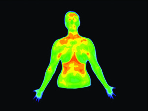 Thermography body scan imaging