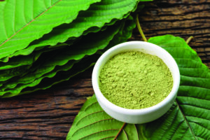 Kratom leaves with powder product in white ceramic bowl and wooden table background