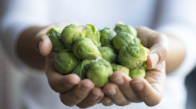 Close up of a handful of healthy cancer fighting