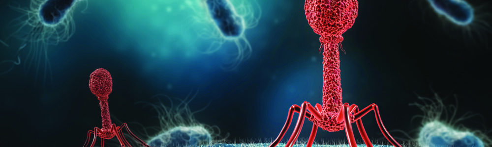 Phage infecting bacteria close-up 3D rendering illustration